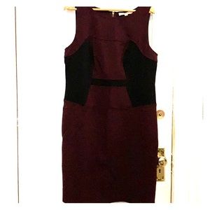 NWT Loft sheath dress - size 14
